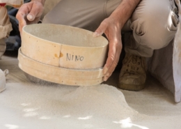 La Varietà della Calce