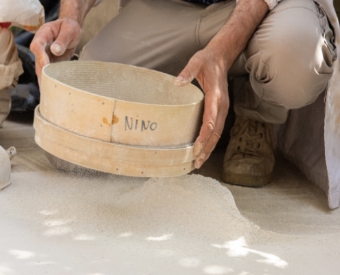 La Varietà della Calce