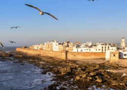 Essaouira Città Del Vento