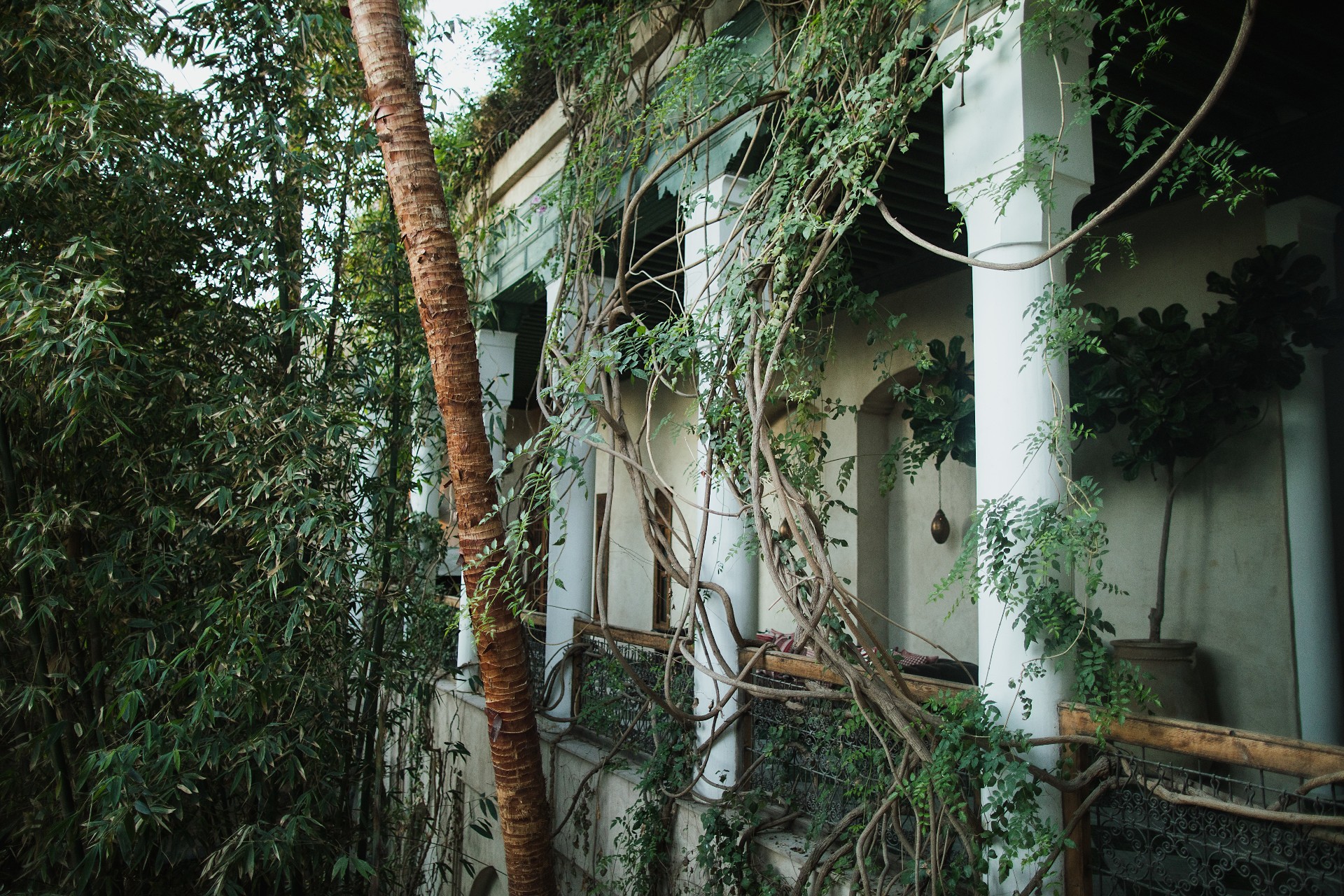 Esterni in Tadelakt riad El Fenn