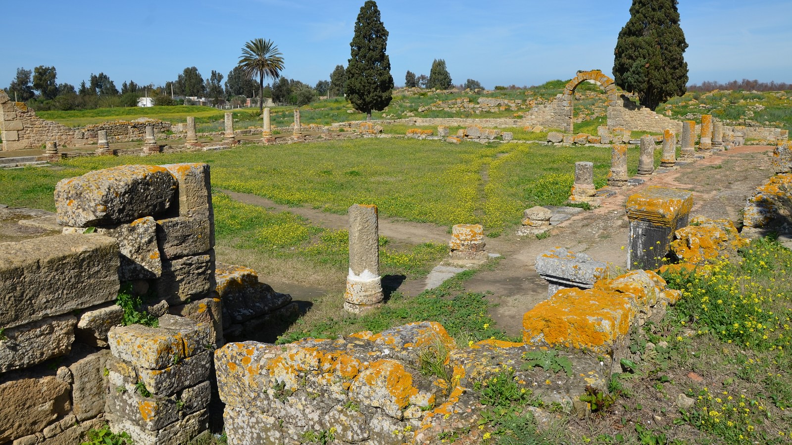 Il Forum di Banasa, Marocco