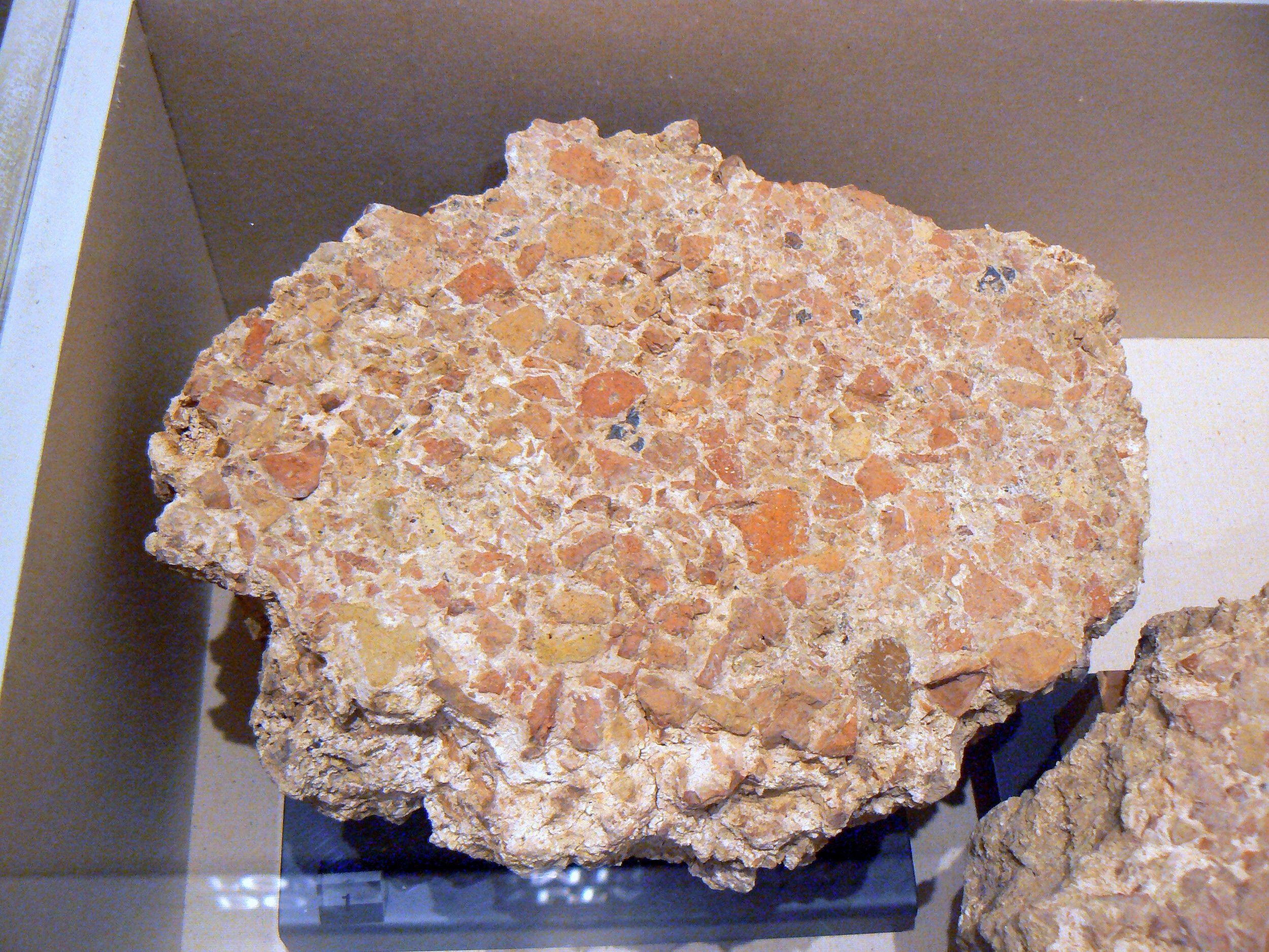 Resti di un pavimento in cocciopesto rinvenuti nella domus del chirurgo