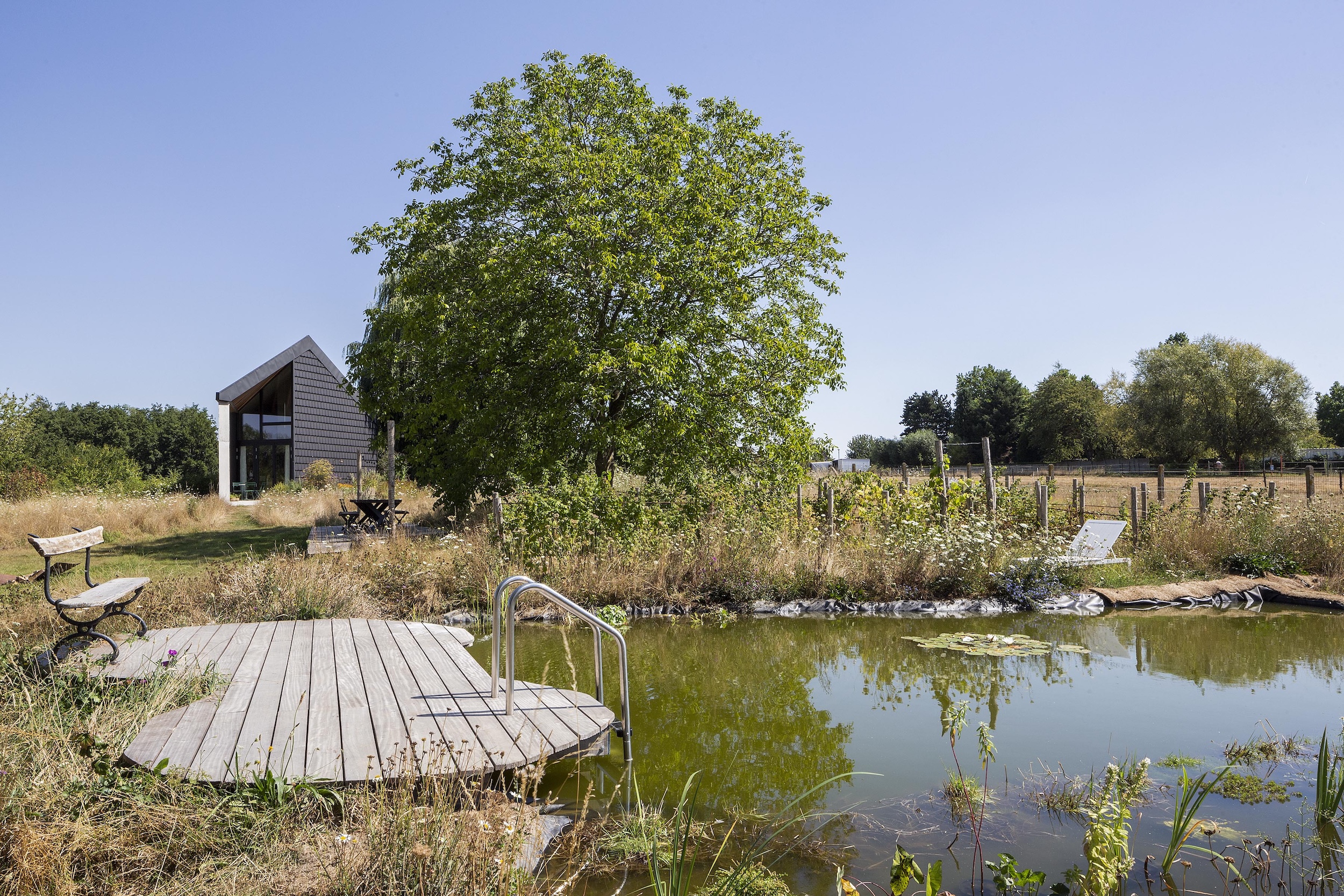 The House under the Willow Tree laghetto
